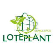 (c) Loteplant.com